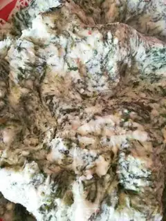 Make Maran