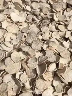 Make Farmer