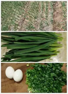Make Garlic fried goose eggs step 0