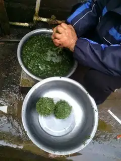 Make Food step 6