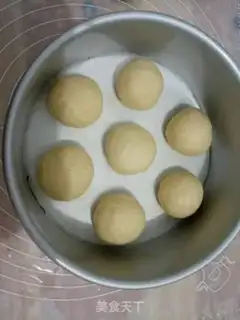 Make Apricot free step 10