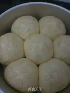 Make Apricot free step 13