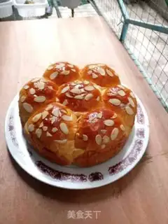 Make Apricot free step 17