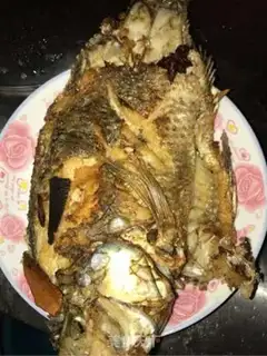 Make Red fish step 0