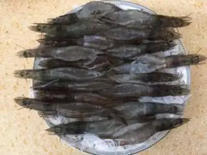 Make Garlic fan steamed shrimp step 2