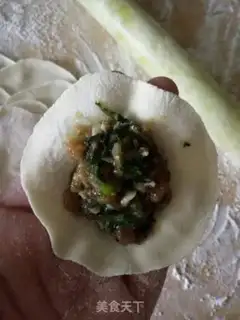Make Pork dumplings step 7