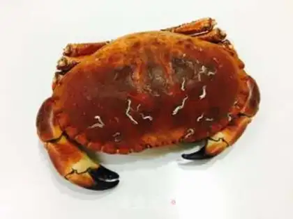 Make Cheese and bread crabs step 0