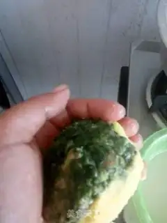 Make Wild and green step 5