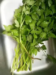 Make Wild celery step 1