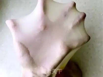 Make caterpillar bread step 0