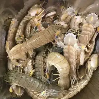 Make Shrimp halogen step 0