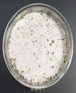 Make Vanilla sugar step 3