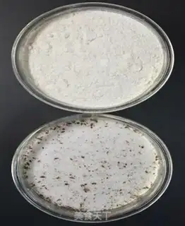 Make Vanilla sugar step 6