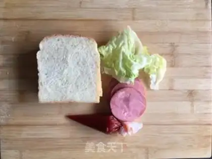 Make Toon sandwich step 0