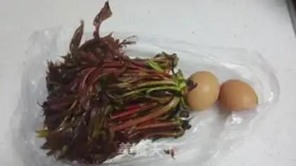 Make Egg rolls step 0