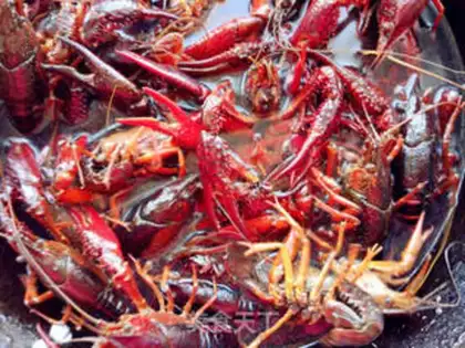 Make Spicy beer, lobster step 1