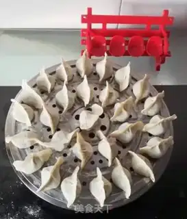 Make Pork dumplings step 14