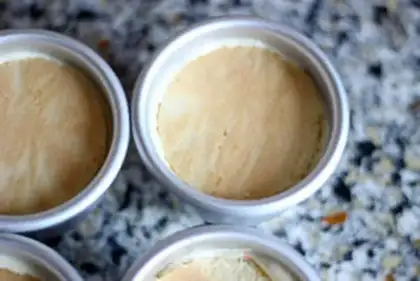Make Dreamstar cheese mousse step 14