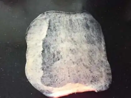 Make Marble toast step 12