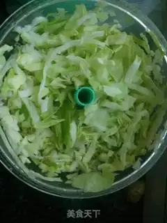 Make Big veggie dumplings step 0