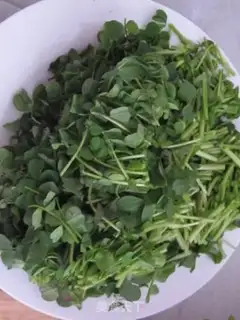 Make Grassseed rice step 0