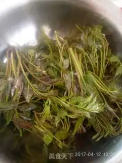Make Pickles step 1