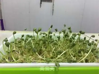 Make Mixer step 0