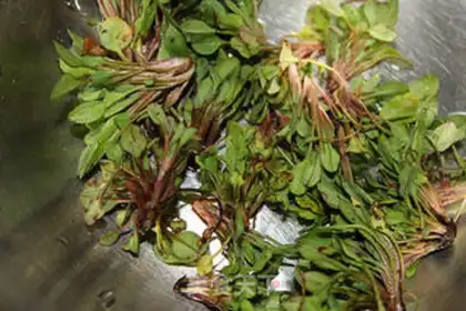 Make Noodles step 1