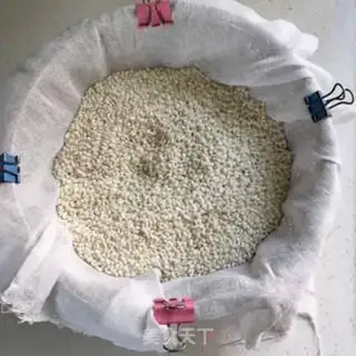 Make Umi rice step 6