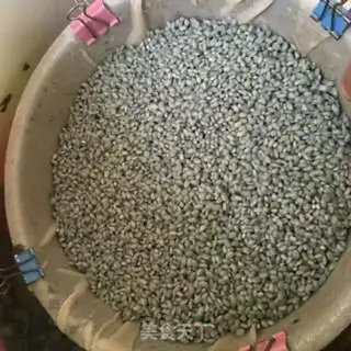 Make Umi rice step 8