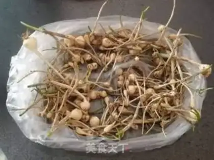 Make Garlic egg boxes step 0