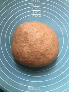 Make Whole wheat bread step 8
