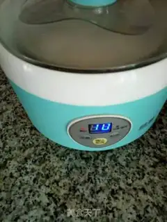 Make Homemade yogurt step 2