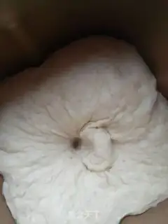Make Pizzeria step 6