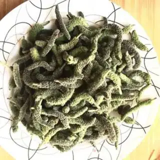 Make Fry the tree step 0