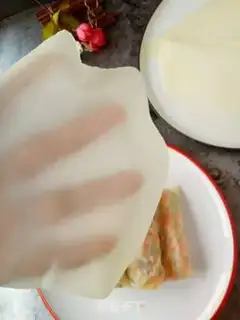 Make Spring roll with dumplings step 5