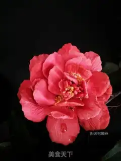 Make A national fragrance crotch step 18