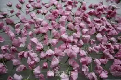 Make Salted cherry blossoms step 1