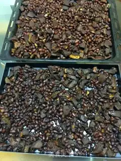 Make Dry peanuts step 9
