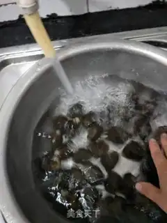 Make Red snail step 1
