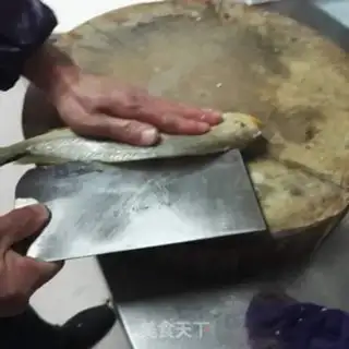 Make Squidfish step 0