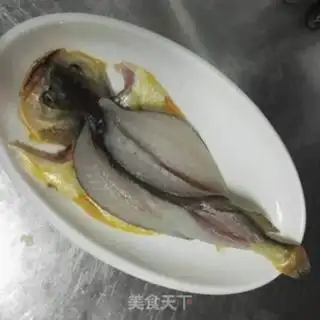 Make Squidfish step 2