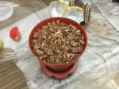 Make Chocolate yogurt step 6