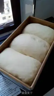 Make Quinoma white toast step 12