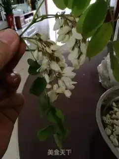 Make Steam flowers step 4
