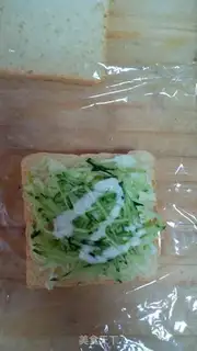 Make Vegetable sandwich step 8