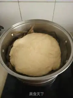 Make Soybean step 4