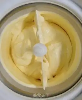 Make Vanilla ice cream step 13