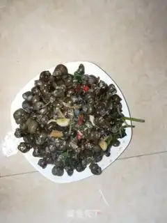 Make Snails step 6