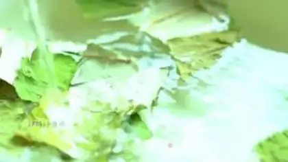 Make Fish play Lotus soup step 1
